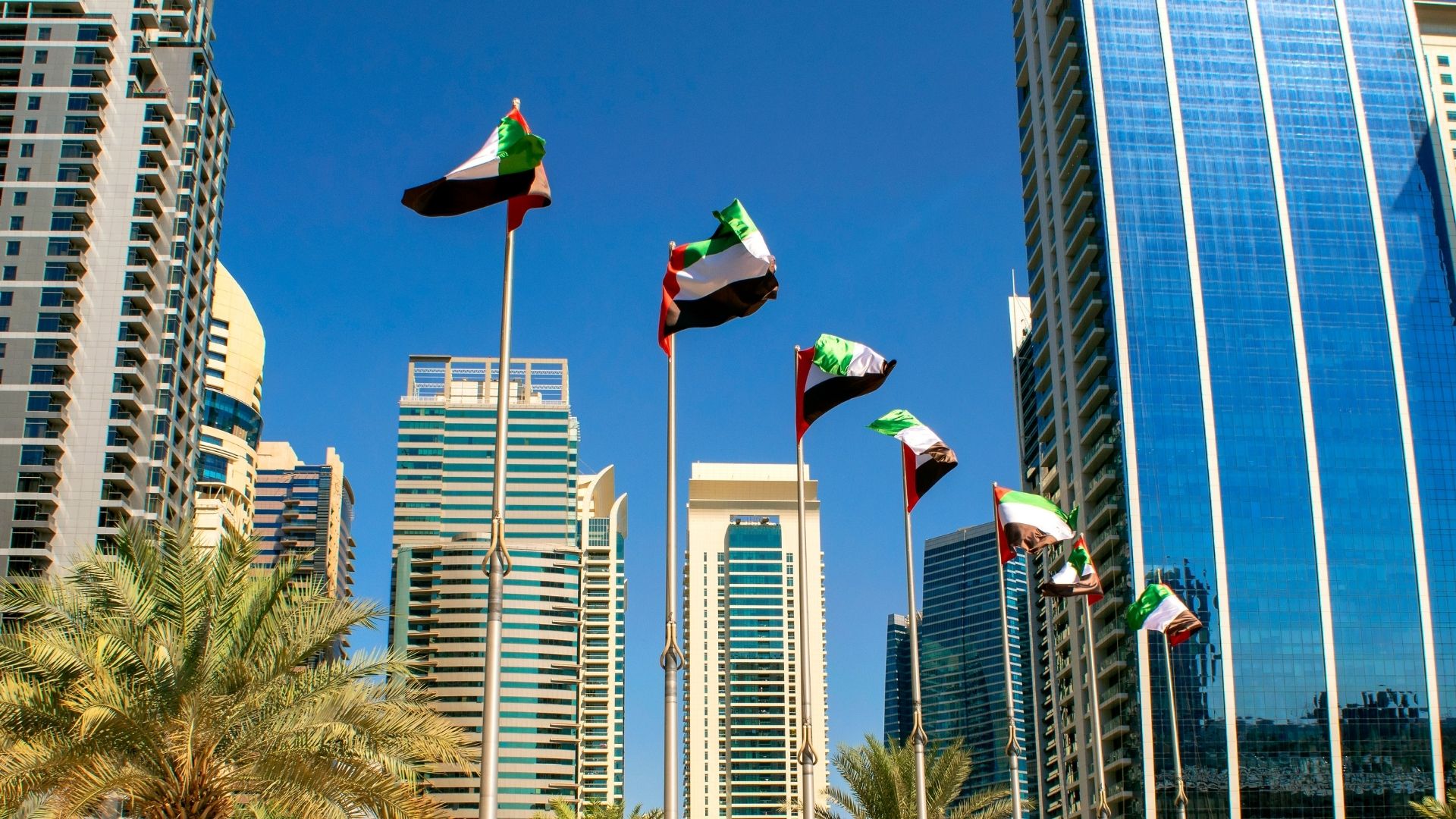 50th UAE National Day
