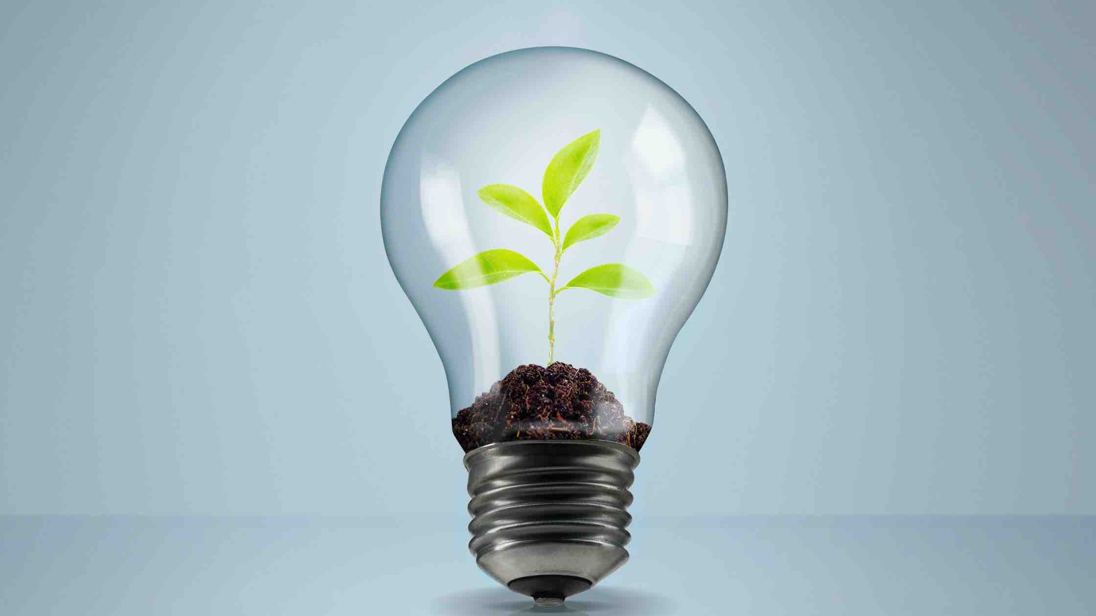 Energy, sustainability and innovation